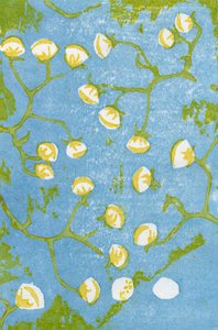 Seedheads macios, 2012 (woodblock no washi) de Bella Larsson